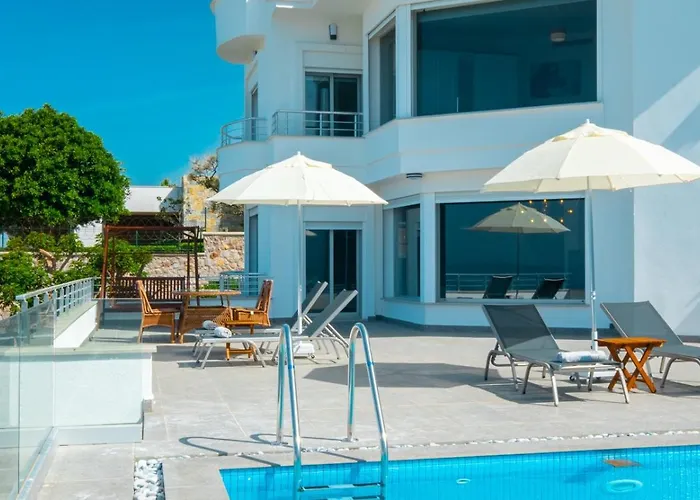 Valentino1 * Karabag